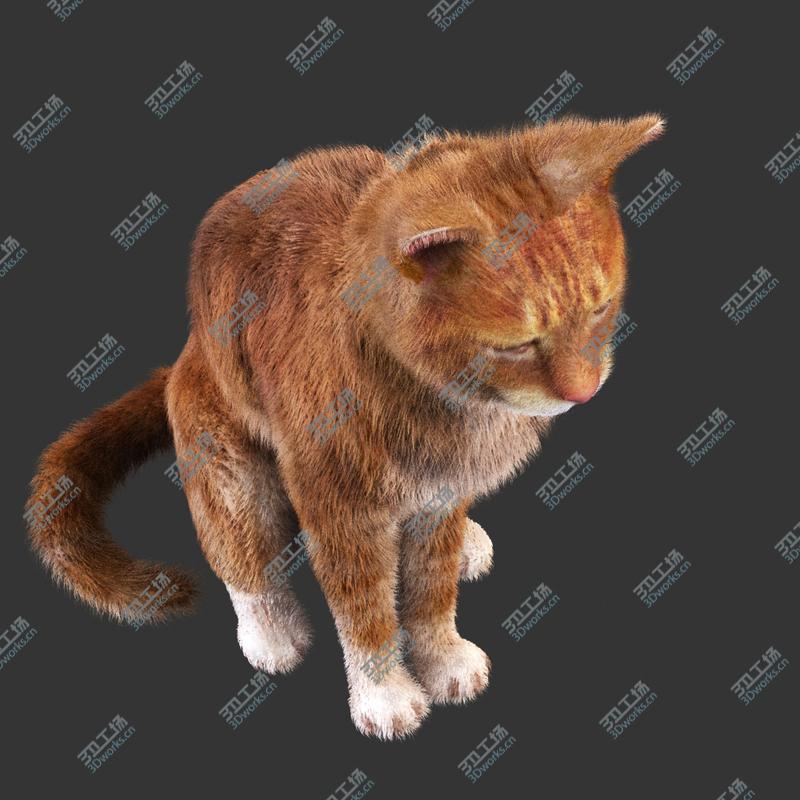 images/goods_img/2021040164/Cat Red Rigged/3.jpg